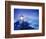 Heceta Head Lighthouse, Devil's Elbow State Park, Oregon Coast-Stuart Westmorland-Framed Photographic Print