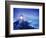 Heceta Head Lighthouse, Devil's Elbow State Park, Oregon Coast-Stuart Westmorland-Framed Photographic Print