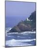 Heceta Head Lighthouse on Heceta Head, Oregon, USA-Jamie & Judy Wild-Mounted Photographic Print