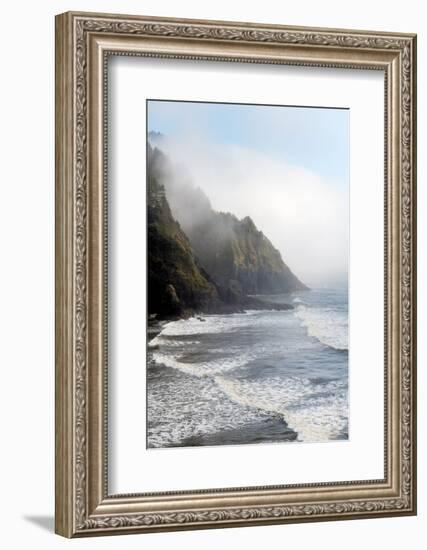 Heceta Head Oregon-Alan Majchrowicz-Framed Photographic Print