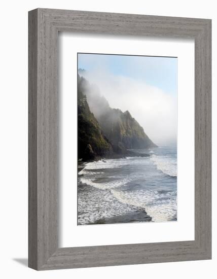 Heceta Head Oregon-Alan Majchrowicz-Framed Photographic Print