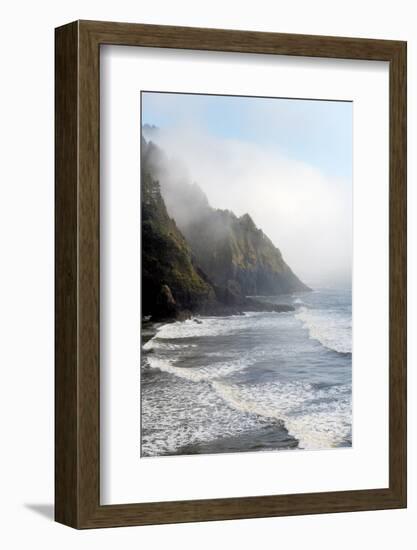 Heceta Head Oregon-Alan Majchrowicz-Framed Photographic Print