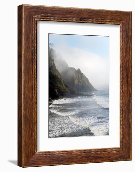 Heceta Head Oregon-Alan Majchrowicz-Framed Photographic Print