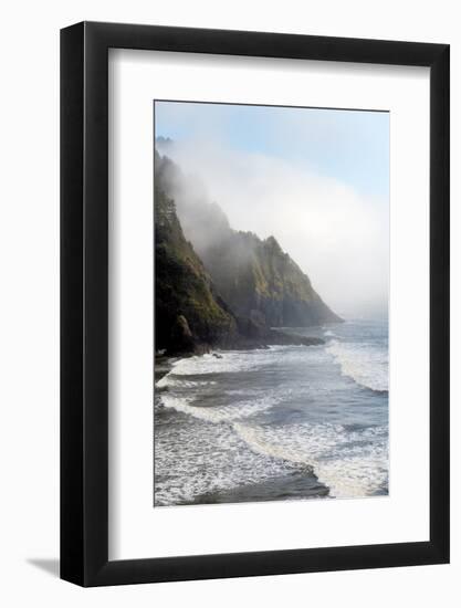 Heceta Head Oregon-Alan Majchrowicz-Framed Photographic Print