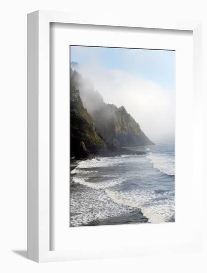 Heceta Head Oregon-Alan Majchrowicz-Framed Photographic Print