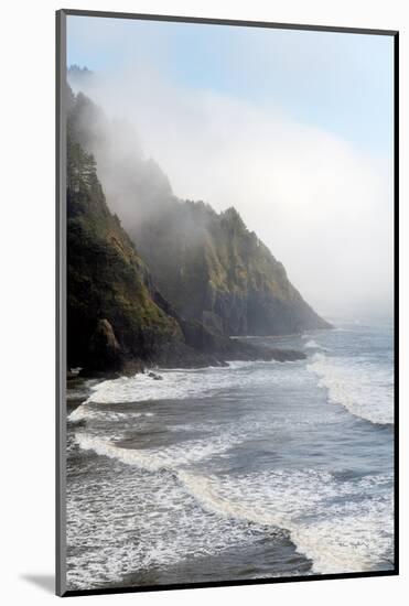 Heceta Head Oregon-Alan Majchrowicz-Mounted Photographic Print