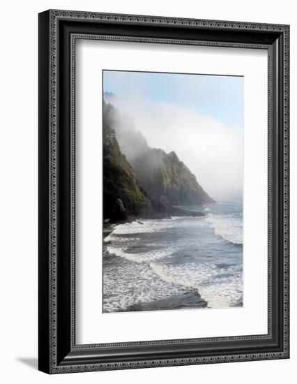 Heceta Head Oregon-Alan Majchrowicz-Framed Photographic Print