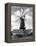 Heckington Windmill-J. Chettlburgh-Framed Premier Image Canvas