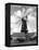 Heckington Windmill-J. Chettlburgh-Framed Premier Image Canvas