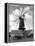 Heckington Windmill-J. Chettlburgh-Framed Premier Image Canvas