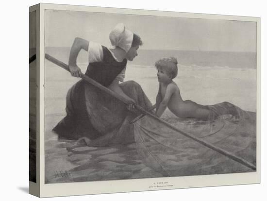 Stretched Canvas Print, , large