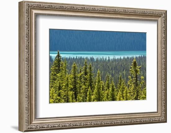 Hector Lake, Banff National Park, Alberta, Canada-Michel Hersen-Framed Photographic Print