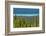 Hector Lake, Banff National Park, Alberta, Canada-Michel Hersen-Framed Photographic Print