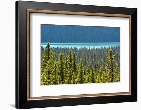 Hector Lake, Banff National Park, Alberta, Canada-Michel Hersen-Framed Photographic Print