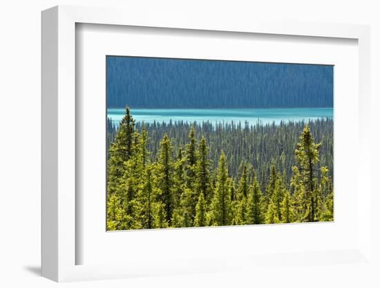 Hector Lake, Banff National Park, Alberta, Canada-Michel Hersen-Framed Photographic Print