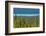 Hector Lake, Banff National Park, Alberta, Canada-Michel Hersen-Framed Photographic Print