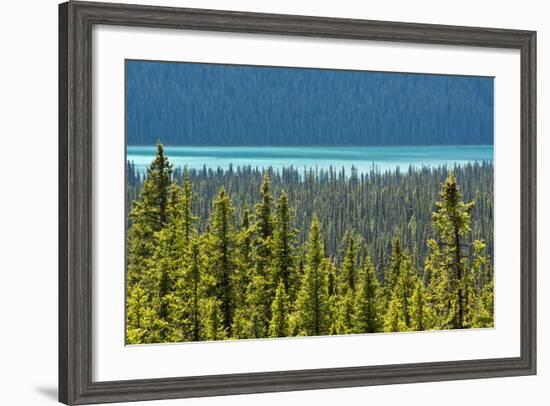 Hector Lake, Banff National Park, Alberta, Canada-Michel Hersen-Framed Photographic Print