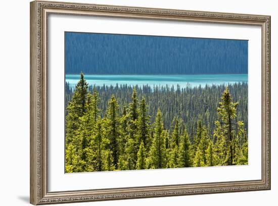 Hector Lake, Banff National Park, Alberta, Canada-Michel Hersen-Framed Photographic Print