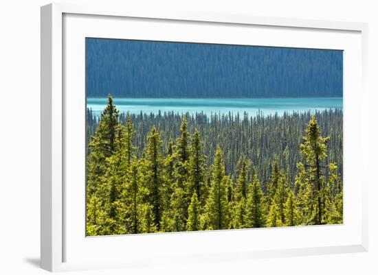 Hector Lake, Banff National Park, Alberta, Canada-Michel Hersen-Framed Photographic Print