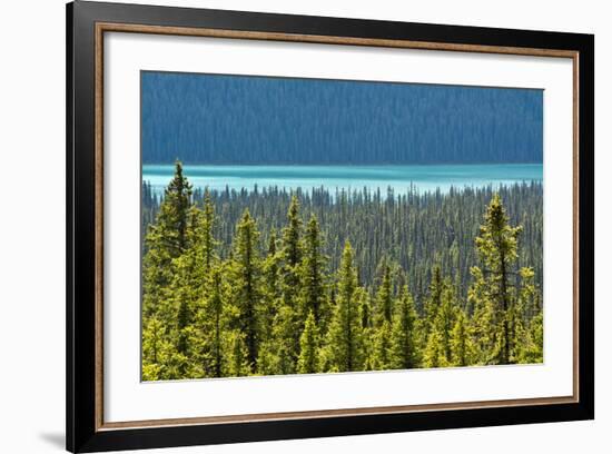 Hector Lake, Banff National Park, Alberta, Canada-Michel Hersen-Framed Photographic Print