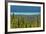 Hector Lake, Banff National Park, Alberta, Canada-Michel Hersen-Framed Photographic Print