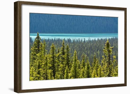 Hector Lake, Banff National Park, Alberta, Canada-Michel Hersen-Framed Photographic Print