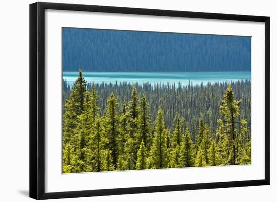 Hector Lake, Banff National Park, Alberta, Canada-Michel Hersen-Framed Photographic Print