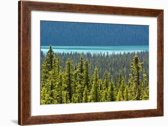 Hector Lake, Banff National Park, Alberta, Canada-Michel Hersen-Framed Photographic Print