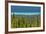 Hector Lake, Banff National Park, Alberta, Canada-Michel Hersen-Framed Photographic Print