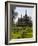 Heddal Stave Church, Heddal, Norway, Scandinavia, Europe-Marco Cristofori-Framed Photographic Print