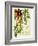 Hedera-M^ P^ Verneuil-Framed Art Print