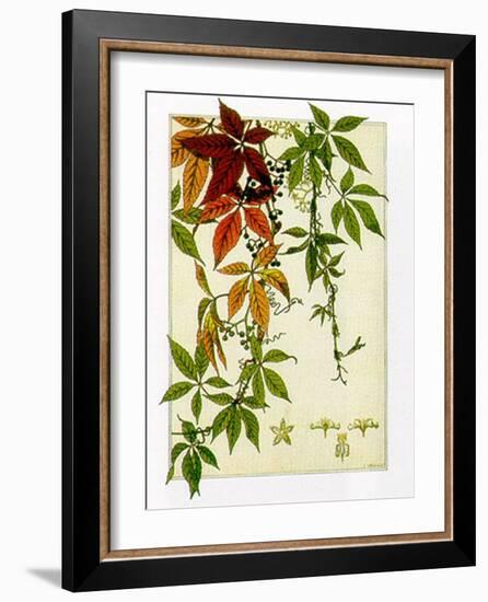 Hedera-M^ P^ Verneuil-Framed Art Print