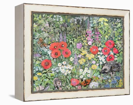 Hedgehog Amongst the Flowers-Hilary Jones-Framed Premier Image Canvas