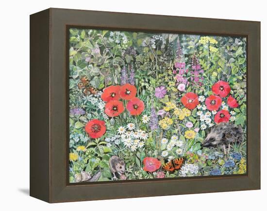 Hedgehog Amongst the Flowers-Hilary Jones-Framed Premier Image Canvas