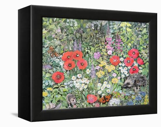 Hedgehog Amongst the Flowers-Hilary Jones-Framed Premier Image Canvas