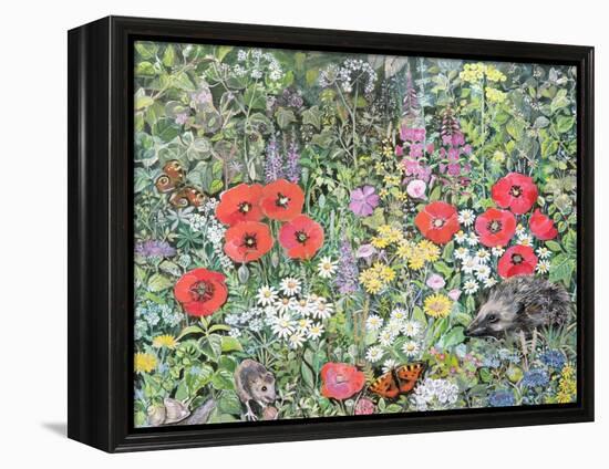 Hedgehog Amongst the Flowers-Hilary Jones-Framed Premier Image Canvas