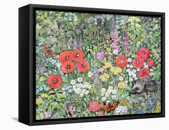 Hedgehog Amongst the Flowers-Hilary Jones-Framed Premier Image Canvas