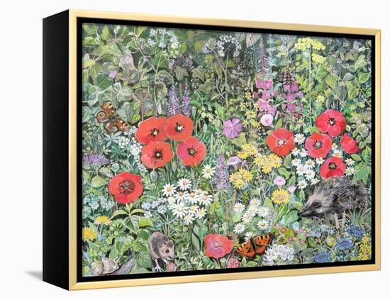 Hedgehog Amongst the Flowers-Hilary Jones-Framed Premier Image Canvas