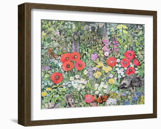 Hedgehog Amongst the Flowers-Hilary Jones-Framed Giclee Print