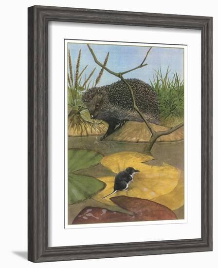 Hedgehog and Vole-English School-Framed Giclee Print