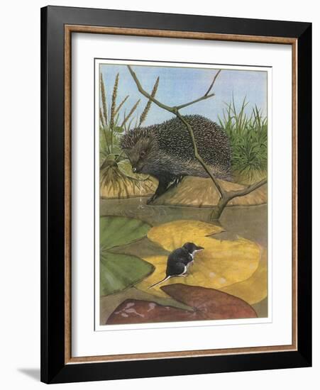 Hedgehog and Vole-English School-Framed Giclee Print