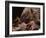 Hedgehog Carrying Newborn to New Nest (Erinaceus Europaeus), UK-Jane Burton-Framed Photographic Print