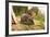 Hedgehog (Erinaceinae), Durham, England, United Kingom, Europe-David Gibbon-Framed Photographic Print