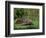 Hedgehog (Erinaceus Europaeus) in Suburban Garden, United Kingdom-Steve & Ann Toon-Framed Photographic Print