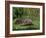 Hedgehog (Erinaceus Europaeus) in Suburban Garden, United Kingdom-Steve & Ann Toon-Framed Photographic Print