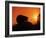 Hedgehog (Erinaceus Europaeus) Silhouette at Sunset, Poland, Europe-Artur Tabor-Framed Photographic Print