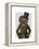 Hedgehog Rider Portrait-Fab Funky-Framed Stretched Canvas