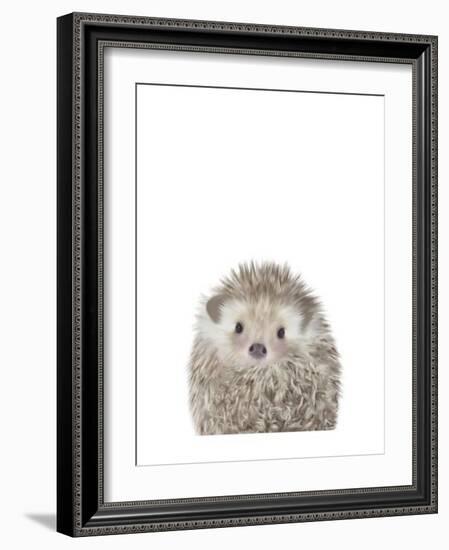 Hedgehog-Leah Straatsma-Framed Art Print