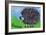 Hedgehog-Brenda Brin Booker-Framed Giclee Print