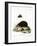 Hedgehog-null-Framed Giclee Print